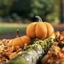 Gresskar Halloween Oransje