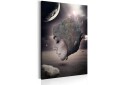 Tavla Galactic Princess 40x60  