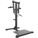 Impulse Standing Lateral Raise Black