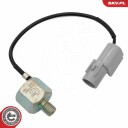 Bankesensor ESEN SKV 17SKV850