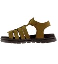 Bisgaard Bisgaard Bera   Brown   38