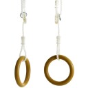 Abilica GymRings