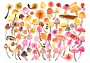 Whimsical Mushroom Collection Plakat / 100x150