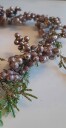 Hjerte med brunrosa bær grønne blad og glitter