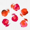 Michele Channell Apple Chiffon Pink Orange Plakat Plakat / 100x100cm 