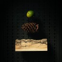 Beviro Beard Oil Bergamia WoodTESTER