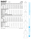Butterick 6847 - Topp F5 (16-18-20-22-24)