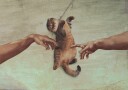 Touch of the Kitty Plakat / 30x40cm
