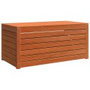  Lagringsboks Vokset Brun 101 x 50,5 x 46,5 cm Konstruert tre