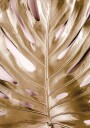 Golden Monstera №3 Plakat Plakat / 100x150cm