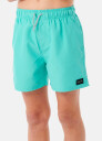 Rip Curl OFFSET VOLLEY  BOY