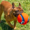 Chuckit Chuckit! Kick Fetch Flyteleke 19 cm