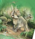 Molo T skjorte   Riley   Jungle Dinos   Molo   6 år (116)   T skjorte Brun Grønn