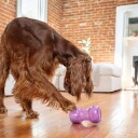 Nina Ottosson Outward Hound Double Snoop Lilla