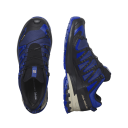 Salomon Men's XA Pro 3D V9 GORE-TEX Blue Print/Surf The Web/Lapis Blue 47 1/3, Blue Print/Surf The Web/Lapis Blue