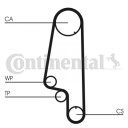Registerrem CONTITECH CT845