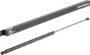 RIDEX 219G0720 Baklukedemper