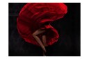 Fototapet Flamenco dancer 250x193 - Artgeist sp. z o. o.