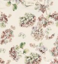 Petit Piao Body I/e   PPStar   Eggnog hortensia AOP   Petit Piao   56   Langermet Body   Beige