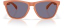 Oakley Frogskins m/PRIZM Grey