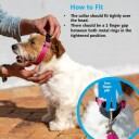 Rogz Control Halsbånd (flere farger) Blå M-31-45CM
