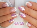 Brillbird Norge Chrome Pigment  Pulver Unicorn