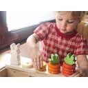 Tender Leaf Learning Numbers Counting Carrots TL8407