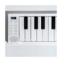 Carry-On Folding Piano 88
