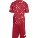 Adidas Performance Lfc H Mini Red 104