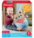 Fisher Price Friendship Forest Bat & Wobble Inflatable Bear