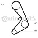 Registerrem CONTITECH CT749