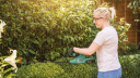 Bosch EasyHedgeCut 18-45 med 2 batteripakker