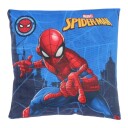 Mister License Cushion   Blue   ONE SIZE