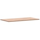 Vidaxl Benkeplate til bad 100x50x1,5 cm heltre bøketre 355985