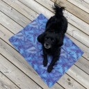 40X50Cm Mønstret Kjølematte Til Hund Og Katt Small (M)