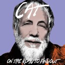 Cat Stevens, Yusuf Islam  On The Road To Findout: Greatest Hits  LP/Vinyl