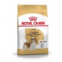 Royal Canin Cavalier King Charles Adult Tørrfôr 1,5 kg for voksne hunder