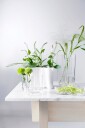 Iittala Alvar Aalto Collection Vase 251 mm Klar