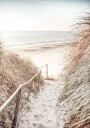 Path to Ocean Plakat Plakat / 40x50cm