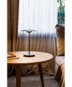 Marset Ginger 20 M Bordlampe Liten Wengé
