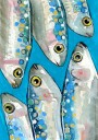 Fishes Poster Plakat / 50x70cm