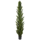 Mr Plant Cypress Tre 180 cm