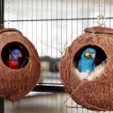 Rxs Birdhouse Kokosnøtt Sett Med 2 Stk