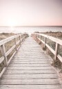 Path to the Beach Plakatr Plakat / 100x150cm