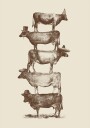 Cow Cow Nuts Plakat Plakat / 21x30cm