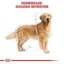 Royal Canin Golden Retriever voksne hundemat 12 kg