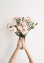 Carnation Flowers Bouquet Plakat Plakat / 100x150cm