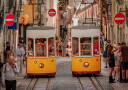 Trams Plakat Plakat / 50x70cm