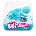 Pets Alive Swimming Axolotls