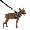 Leopard Step-In Hundesele